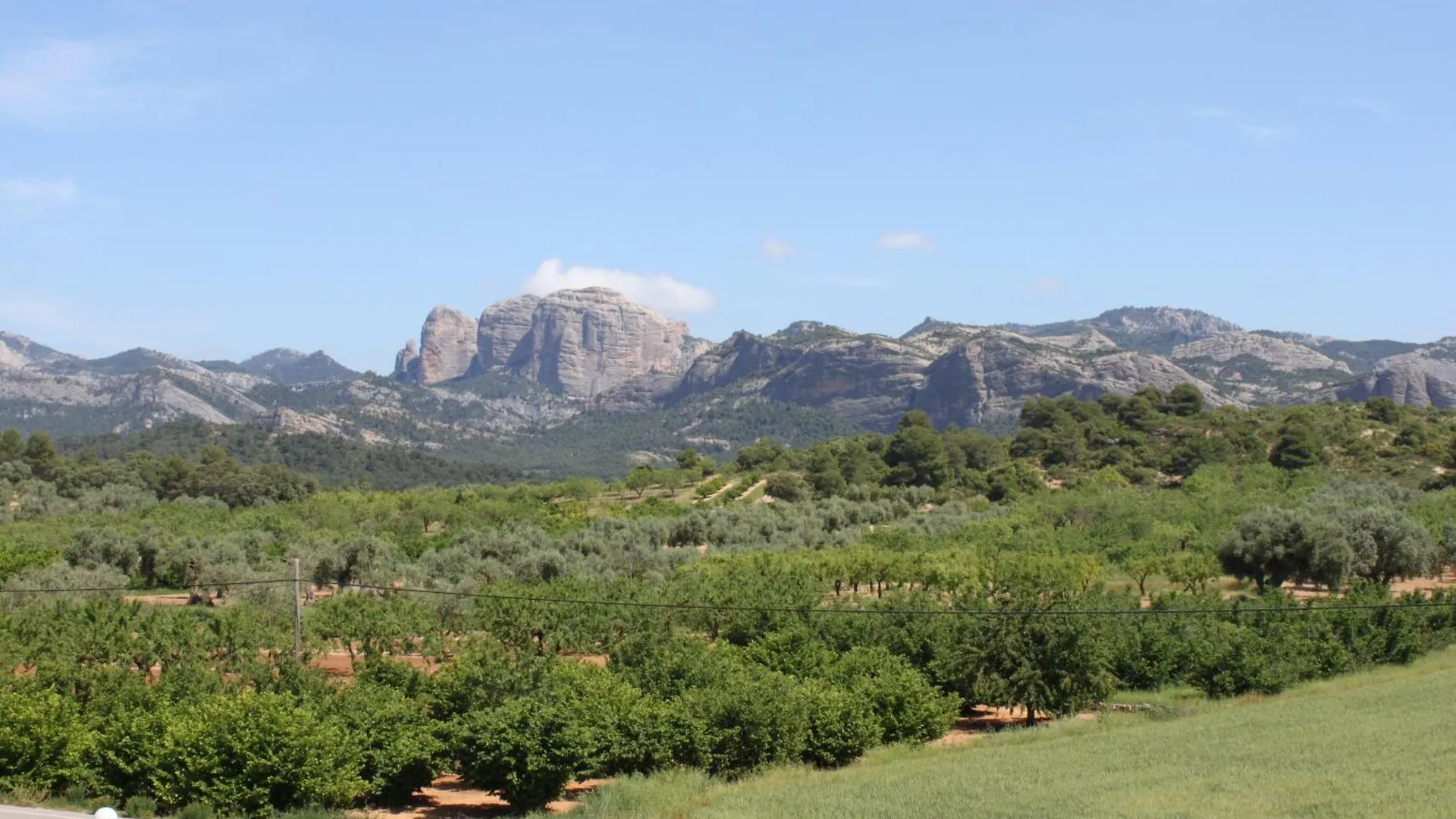 Campsite Camping Els Ports Arnes