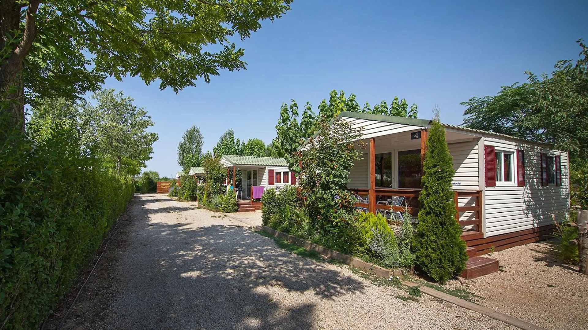 **  Camping Els Ports Arnes España