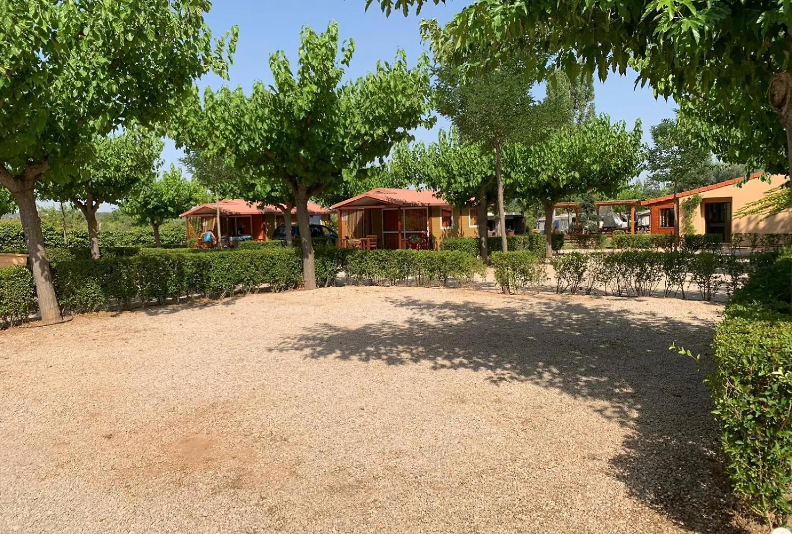 **  Camping Els Ports Arnes España
