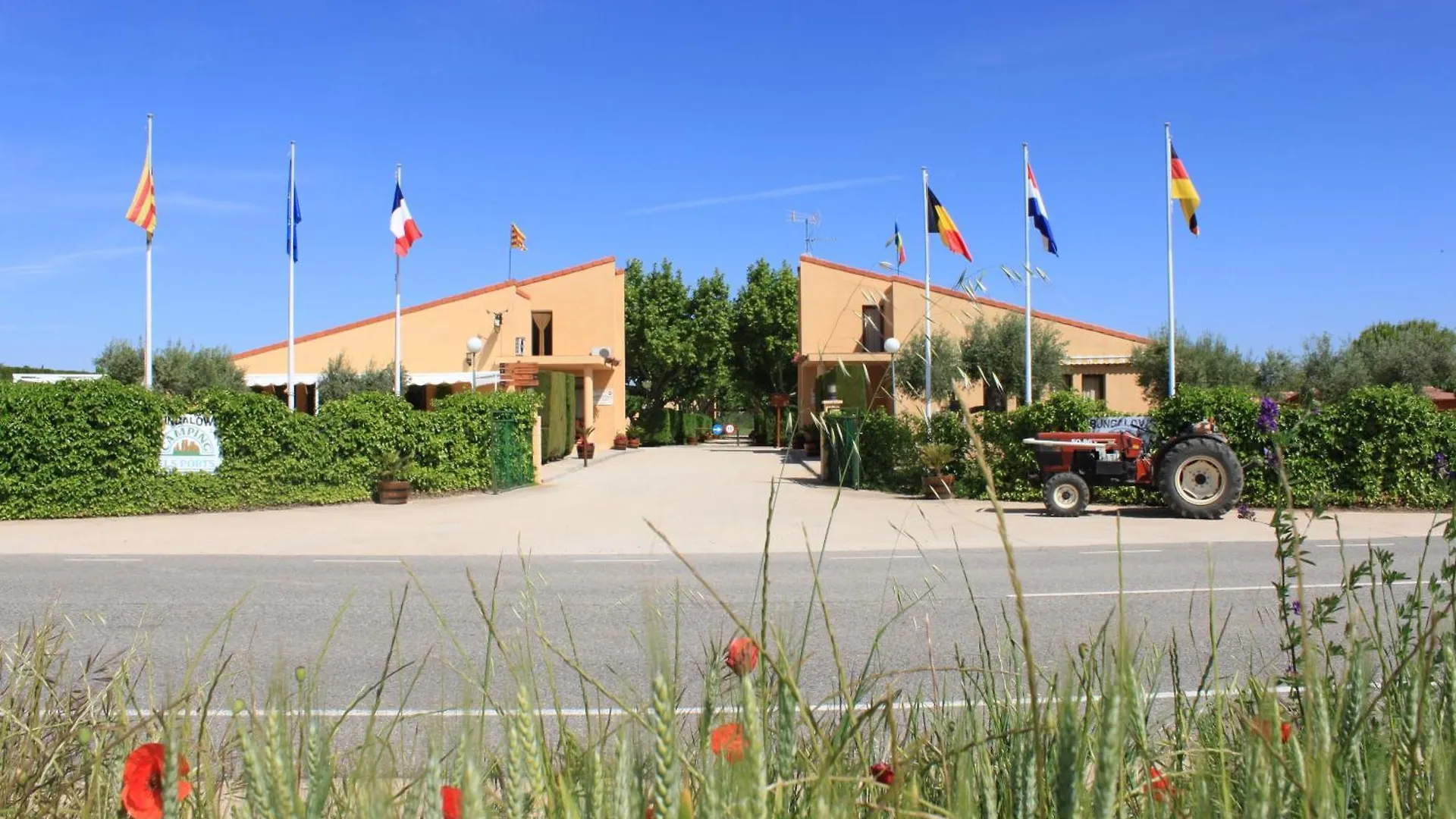 Camping Els Ports Arnes 2*,